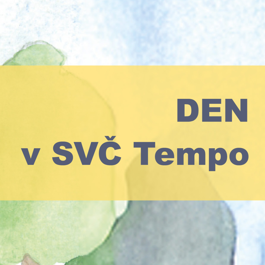 DEN v SVČ
