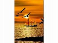 LT-I. Výprava za obzory (1.-10.7.)